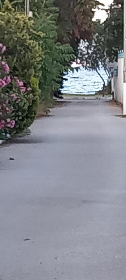 Elizas House Villa Néa Mákri Dış mekan fotoğraf