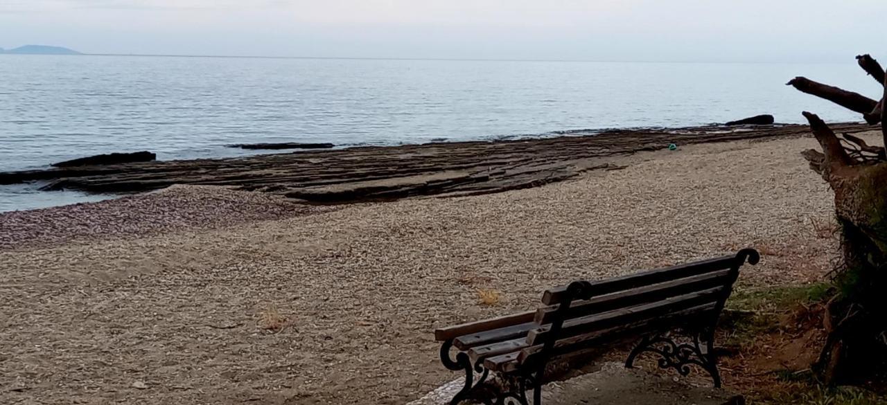 Elizas House Villa Néa Mákri Dış mekan fotoğraf