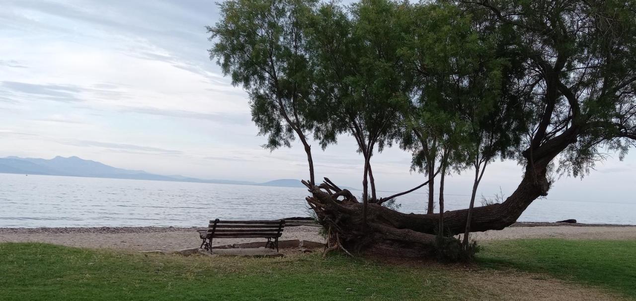Elizas House Villa Néa Mákri Dış mekan fotoğraf
